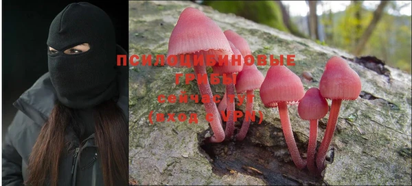 стаф Богородск