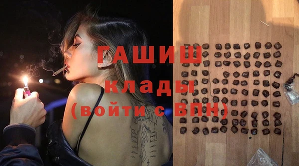 бошки Бородино