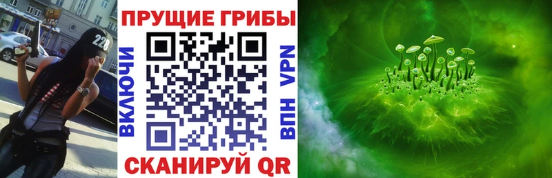 Галлюциногенные грибы Psilocybe  Джанкой 